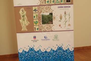 Una alumna del Colegio Hilda Zudán (Telde) gana el concurso escolar de dibujos de invertebrados/TA.